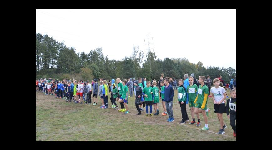 Pierwszy finał wojewódzki mamy już za nami